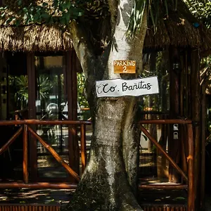 Eco Banitas Hotel